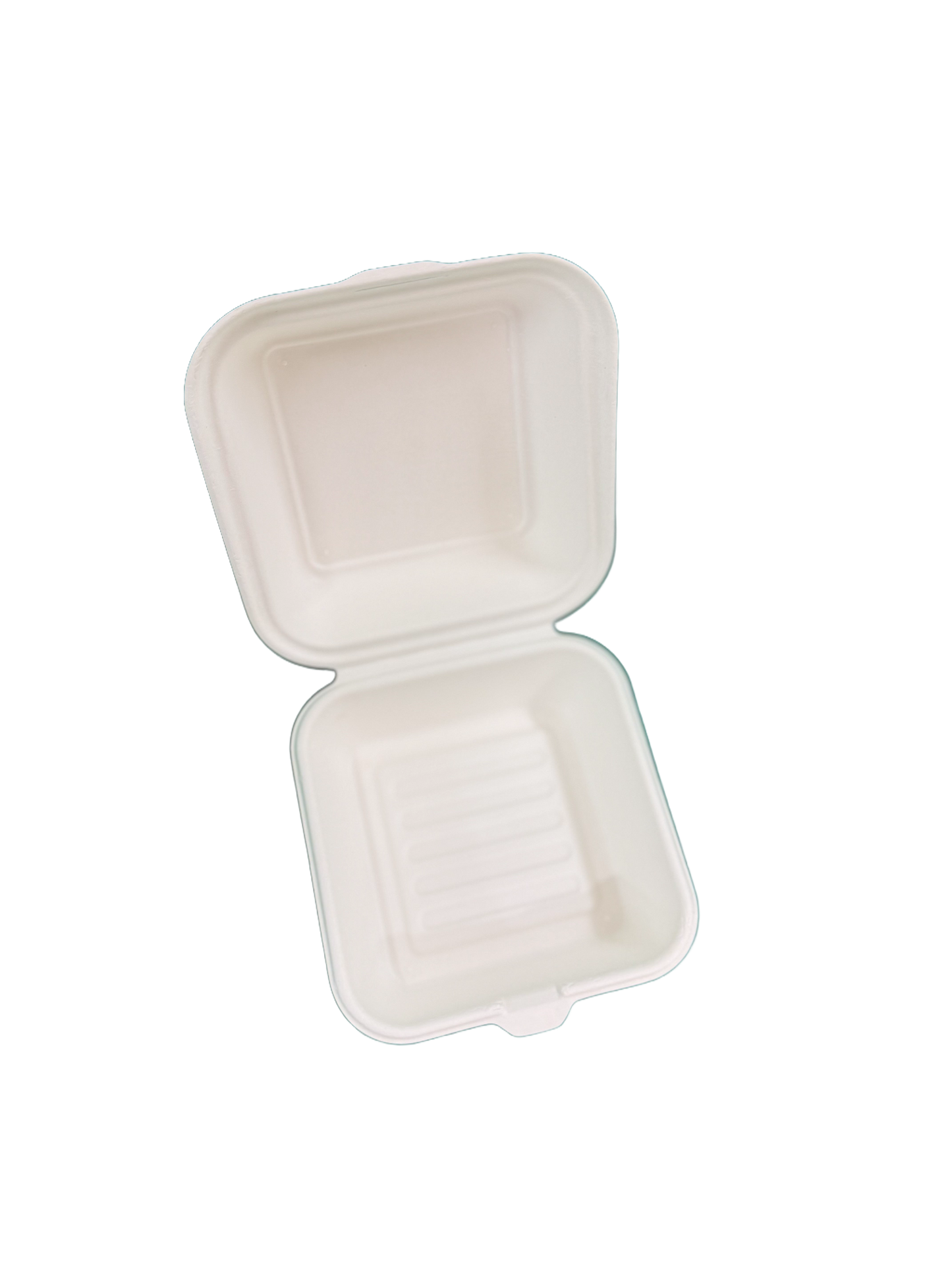 6" Bagasse Burger box (HP6)